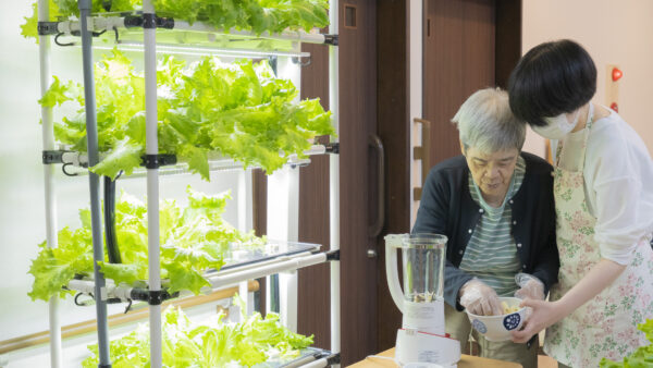 「水耕栽培」を認知症ケアに。導入背景と効果について